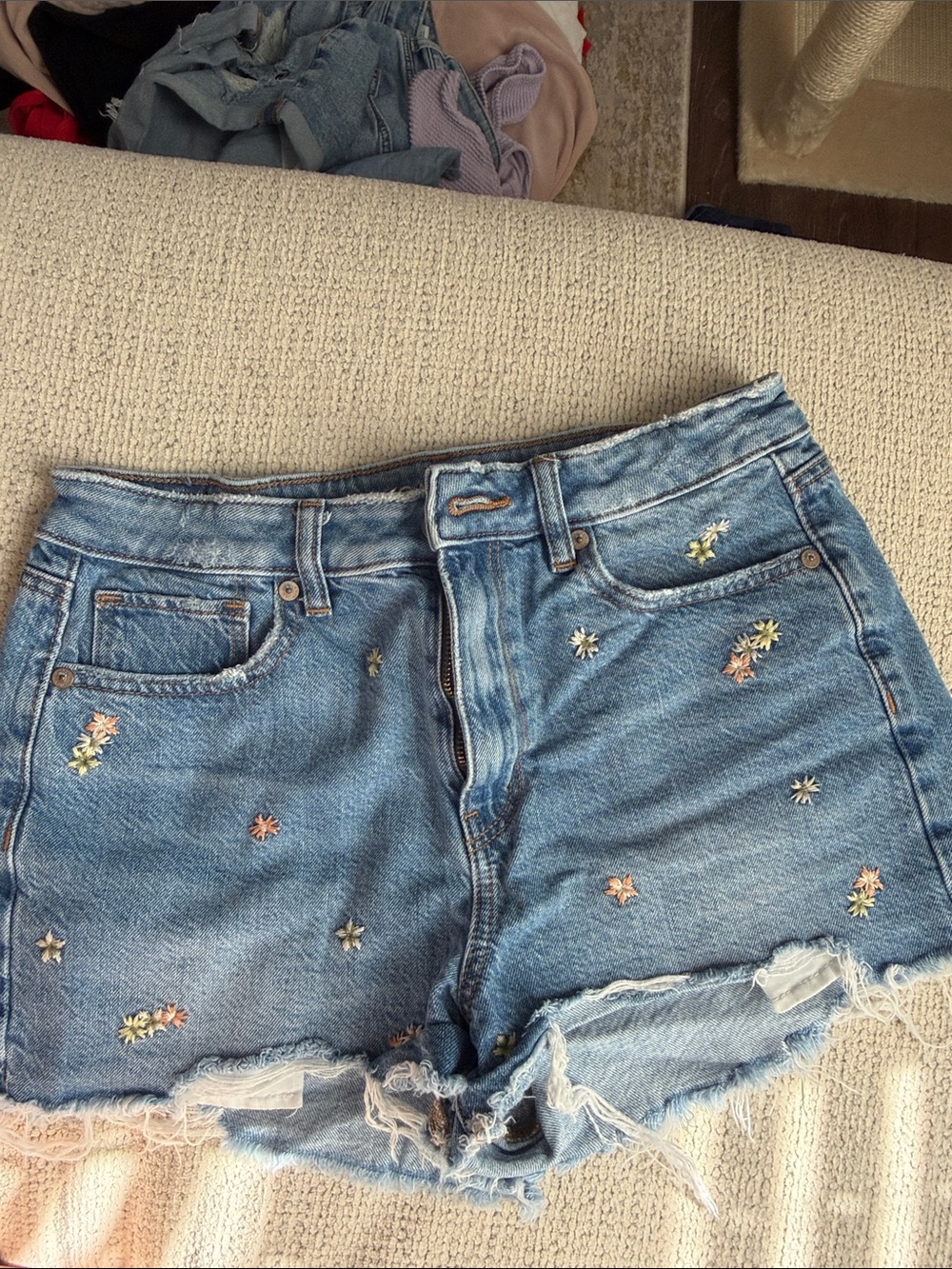 American Eagle Outfitters Light Blue Embroidered Denim Shorts